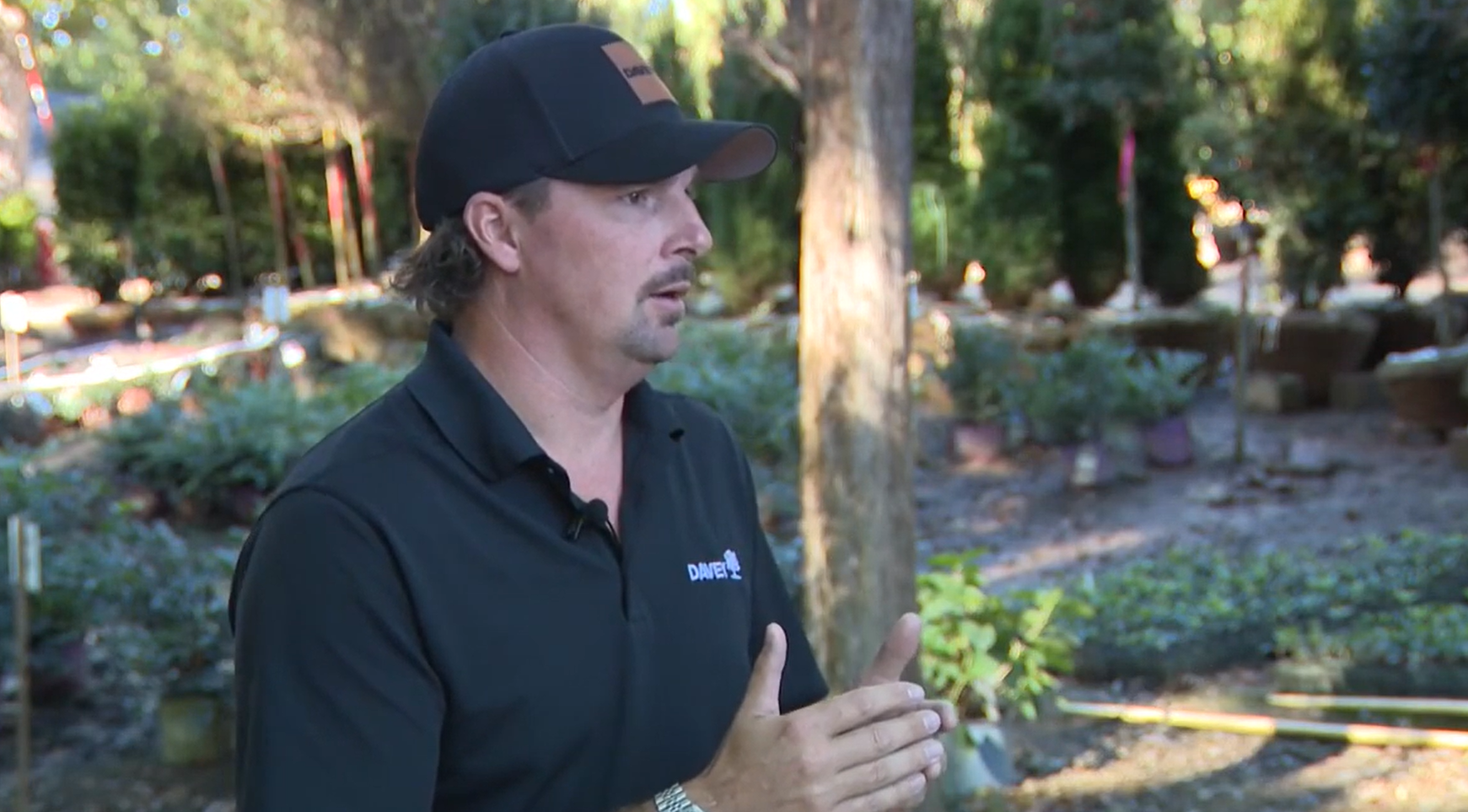 Screenshot 2025 12 04 085046 (1)