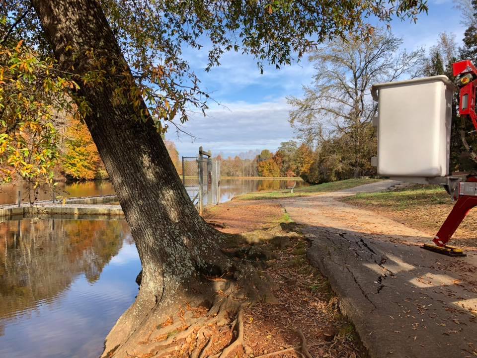 Hazard Tree Removal Winston-Salem, North Carolina
