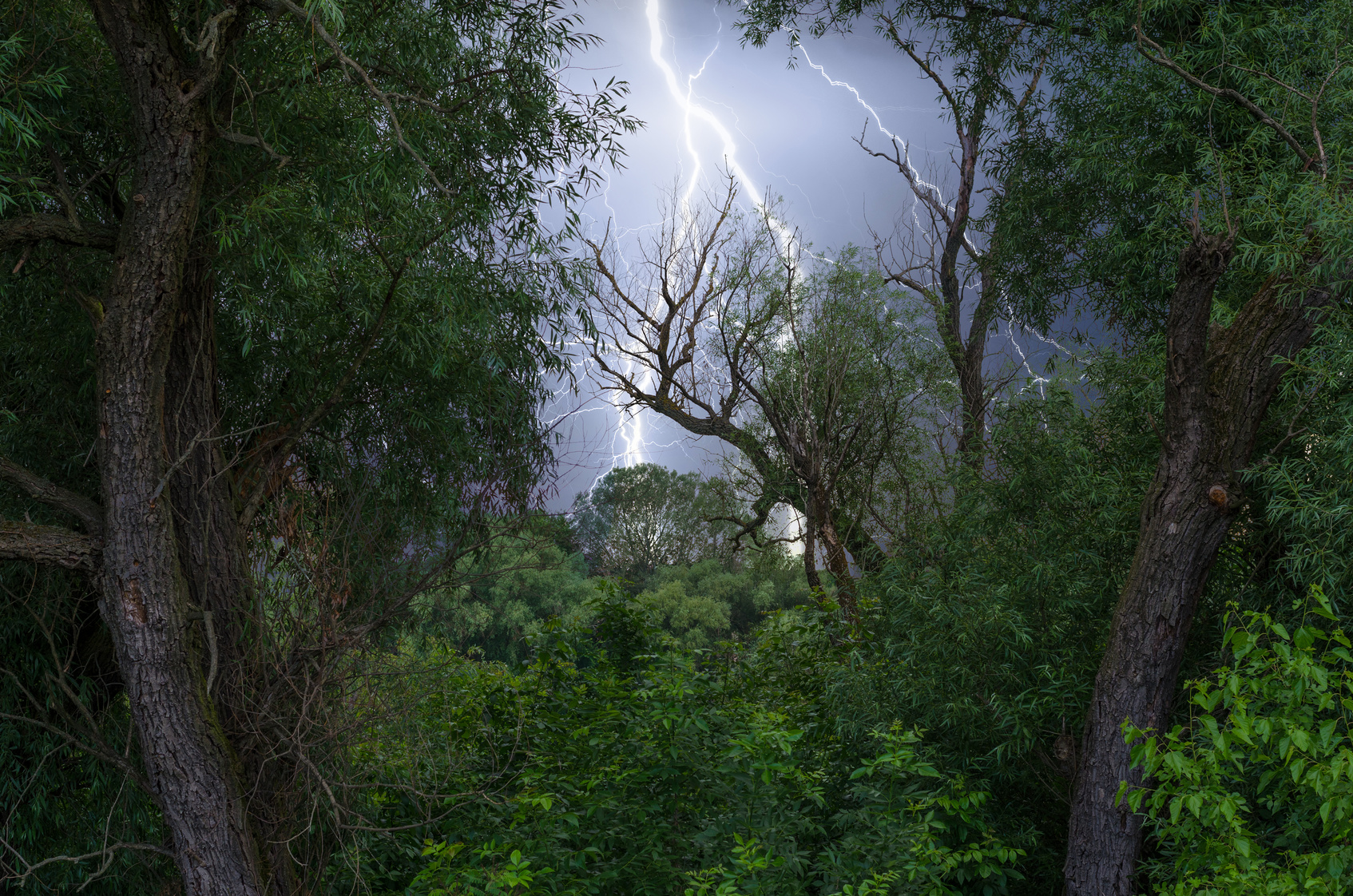 Lightning Protection near Winston-Salem, North Carolina
